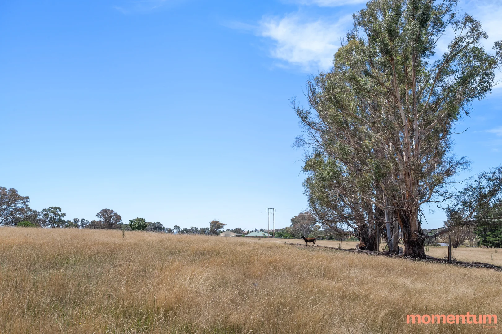Additional image 50 of 5 Euroka Avenue, Murrumbateman NSW 2582