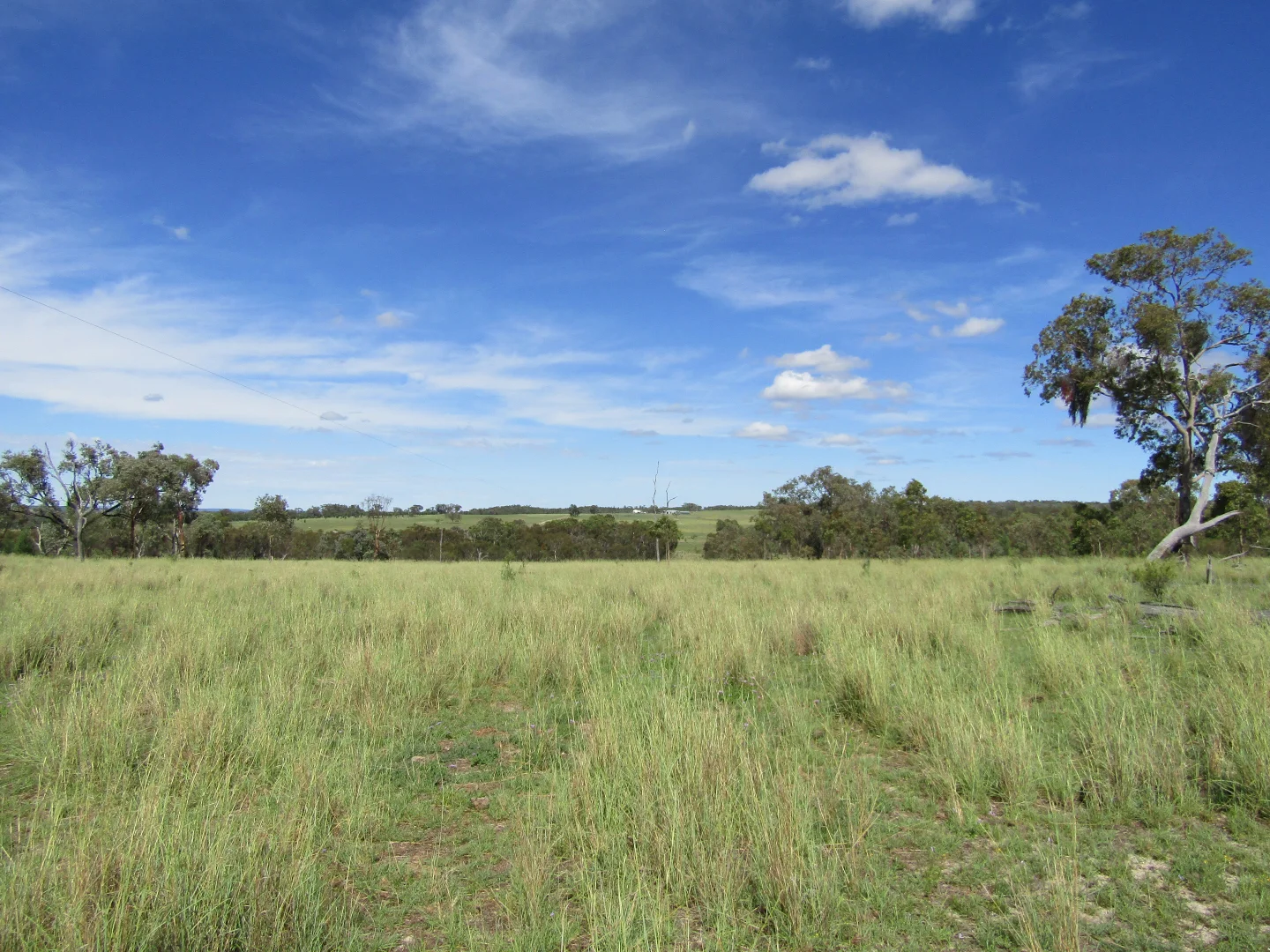 Additional image 3 of 1461 Atholwood Road, Bonshaw NSW 2361