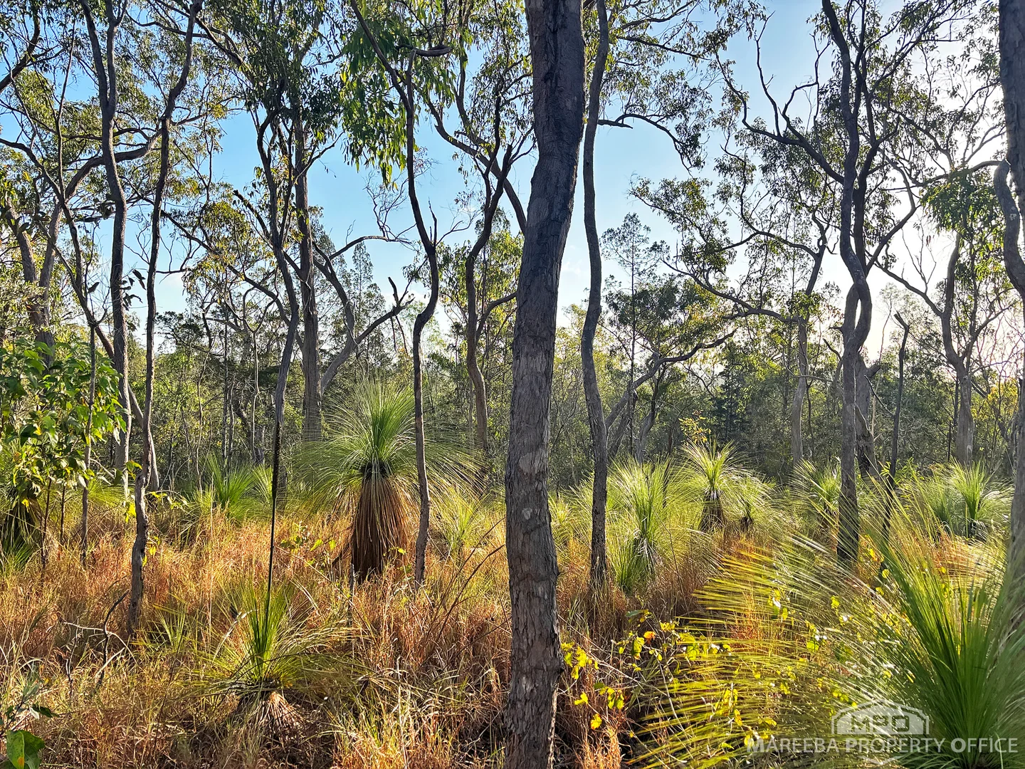 Additional image 4 of 174 Fantin Road, Koah QLD 4881