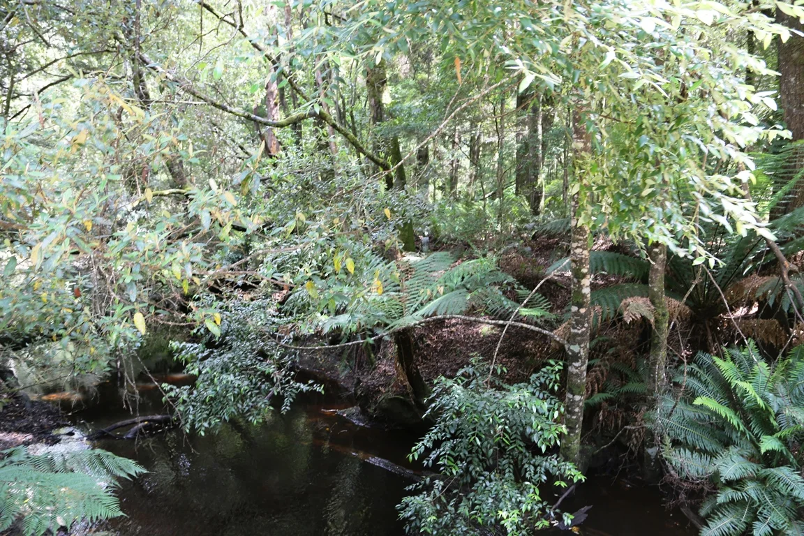 Additional image 11 of 1 Croles Road, Trowutta TAS 7330