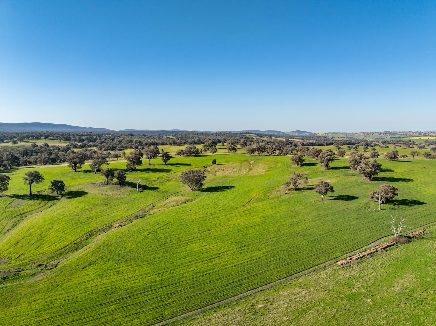 Additional image 27 of Bumbaldry Road, Greenethorpe NSW 2809