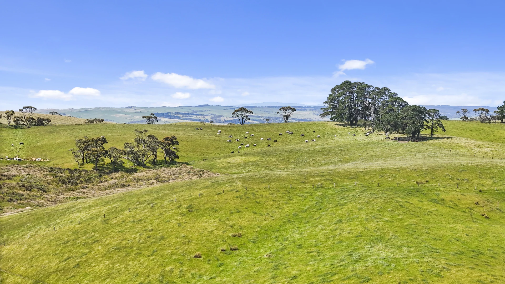 Additional image 10 of 137 Faggotter Road, Myponga SA 5202