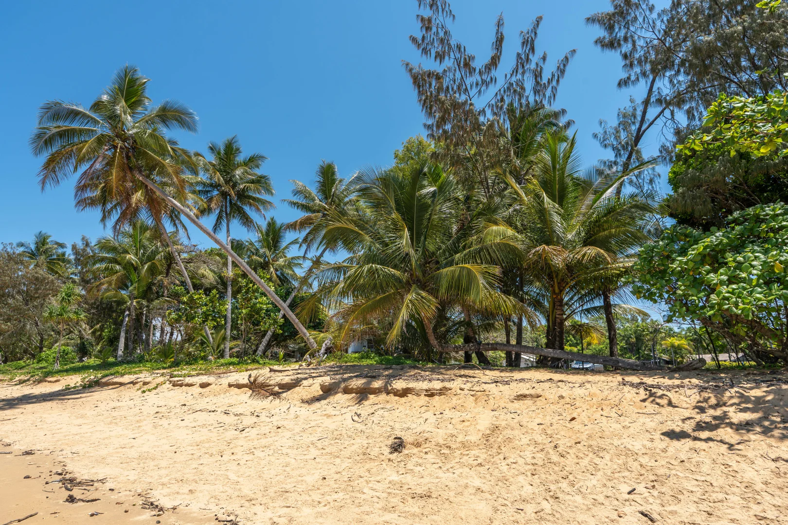 Additional image 16 of 38 Reid Rd, Wongaling Beach QLD 4852