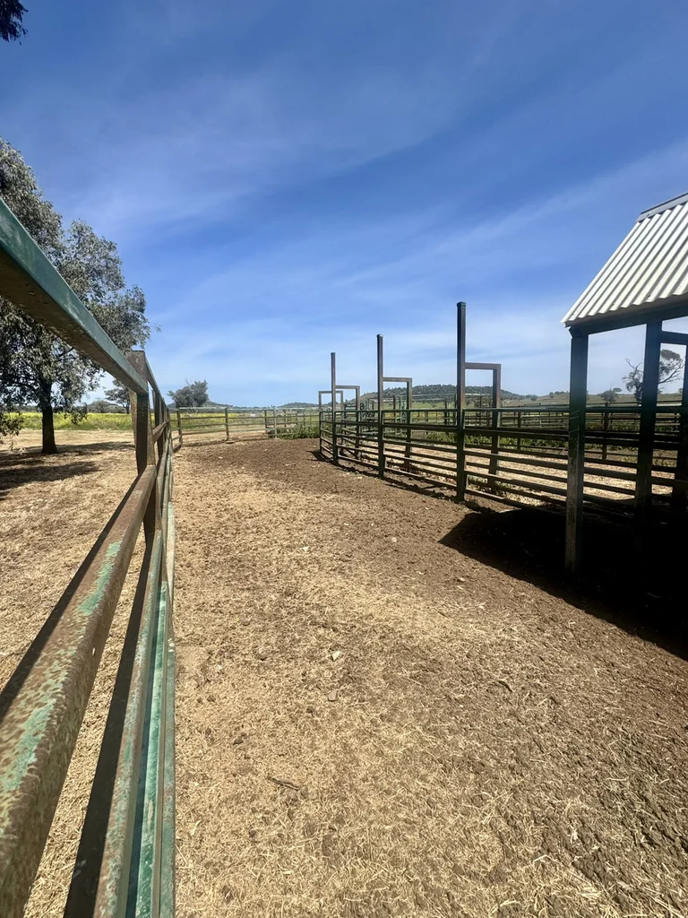 Additional image 14 of Gunnedah NSW 2380