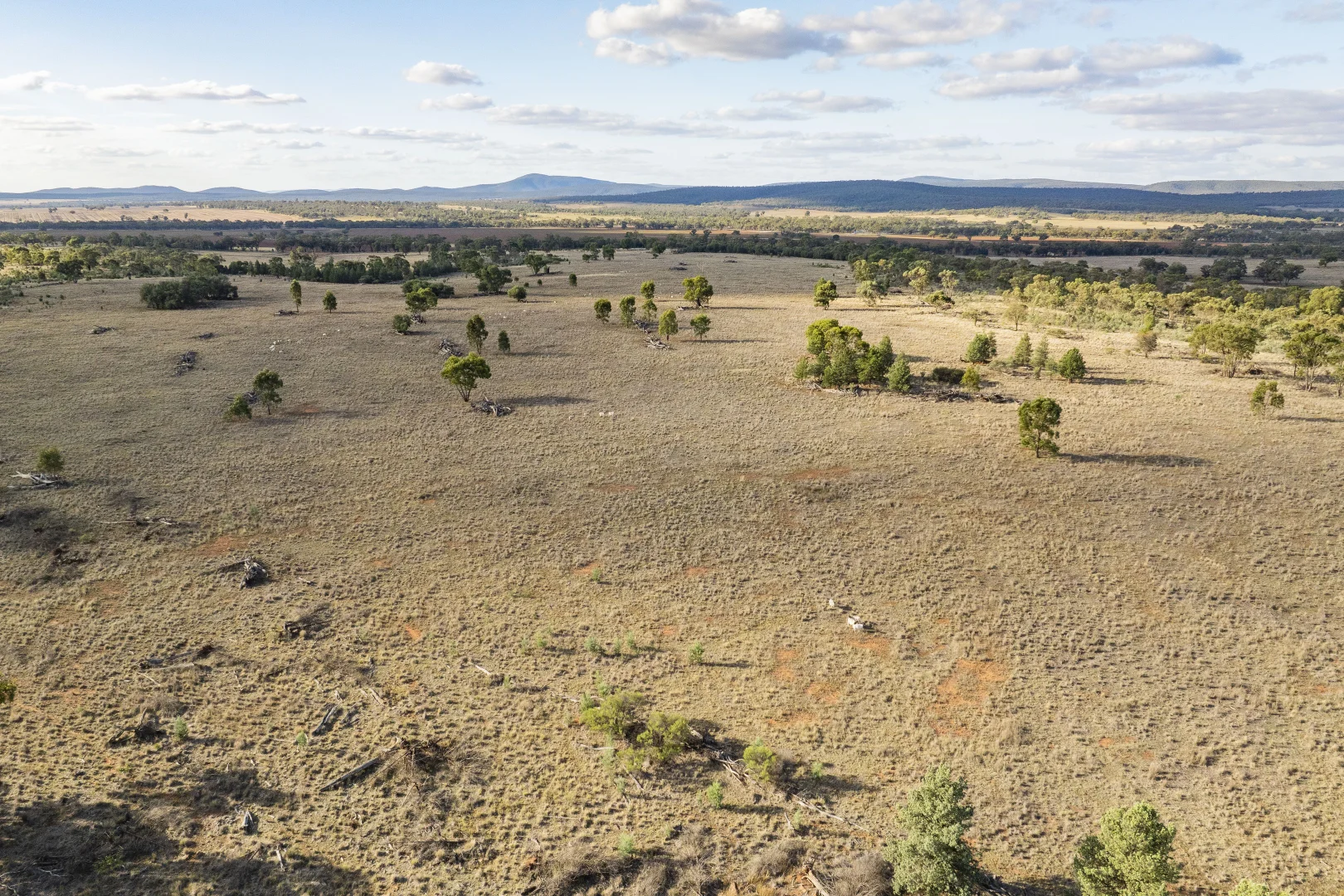 Additional image 14 of 431 The Springs Road, Rankins Springs NSW 2669