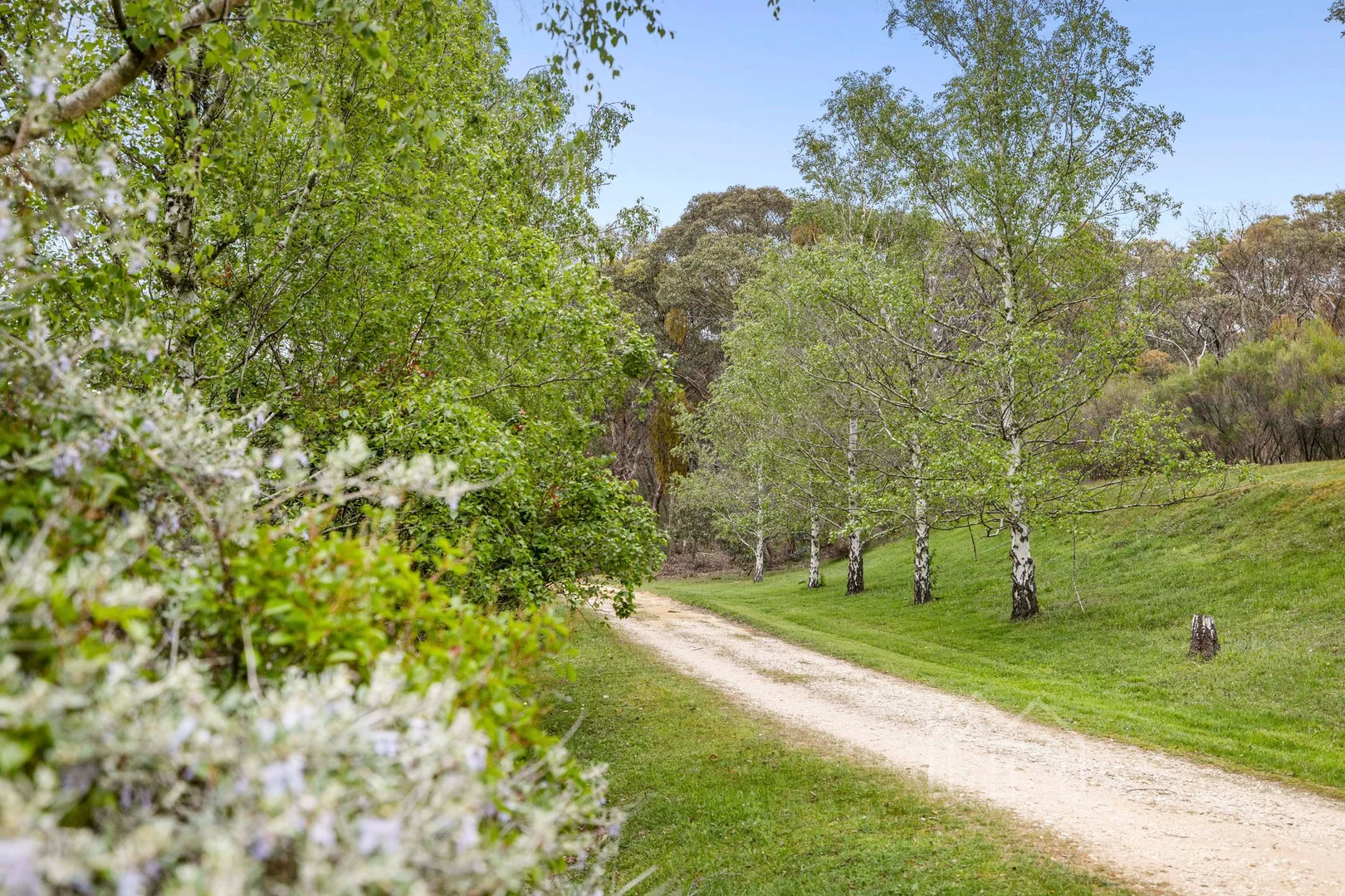 Additional image 27 of 750 Vaughan Springs Road, Drummond North VIC 3446