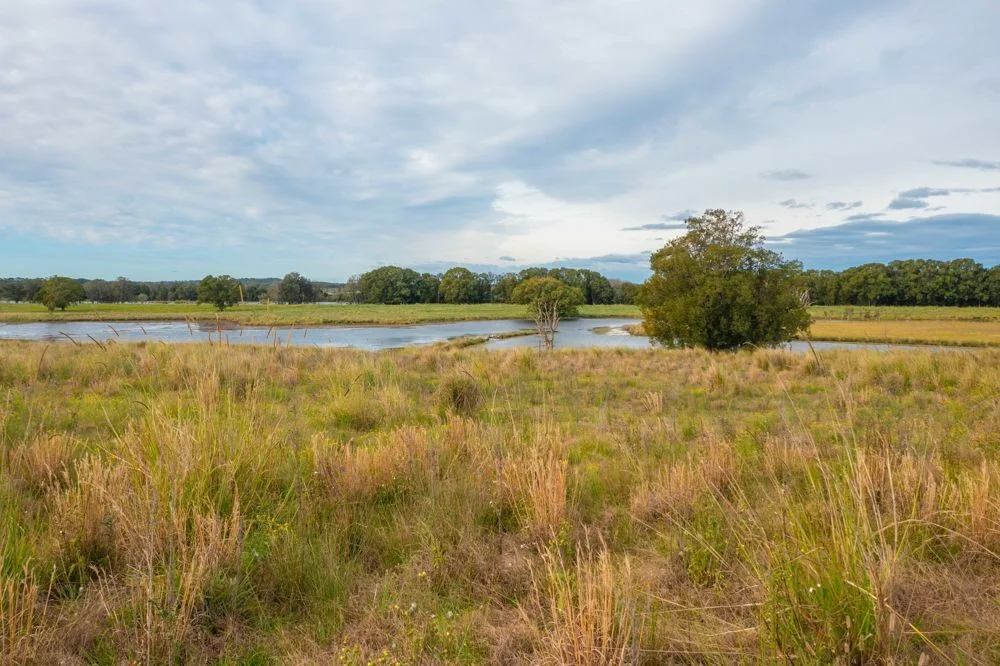 Additional image 6 of LOT 1 HURSLEY ROAD, Redbank NSW 2446