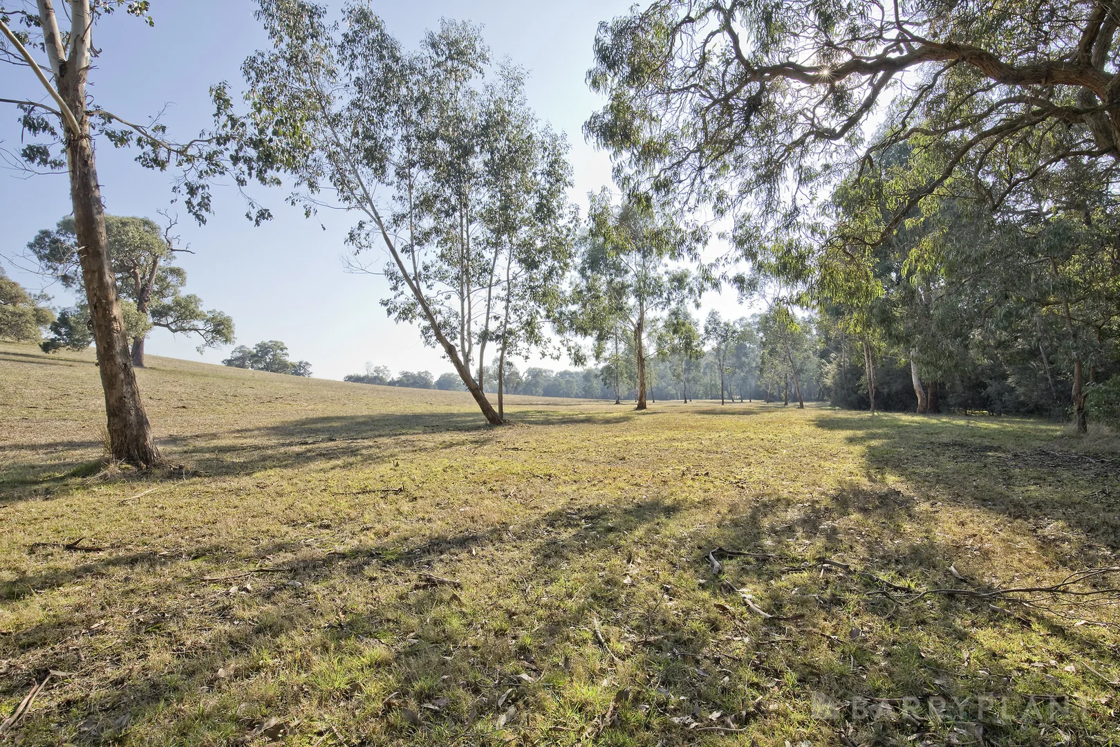 Additional image 21 of 450 Sheepstation Creek Road, Yellingbo VIC 3139
