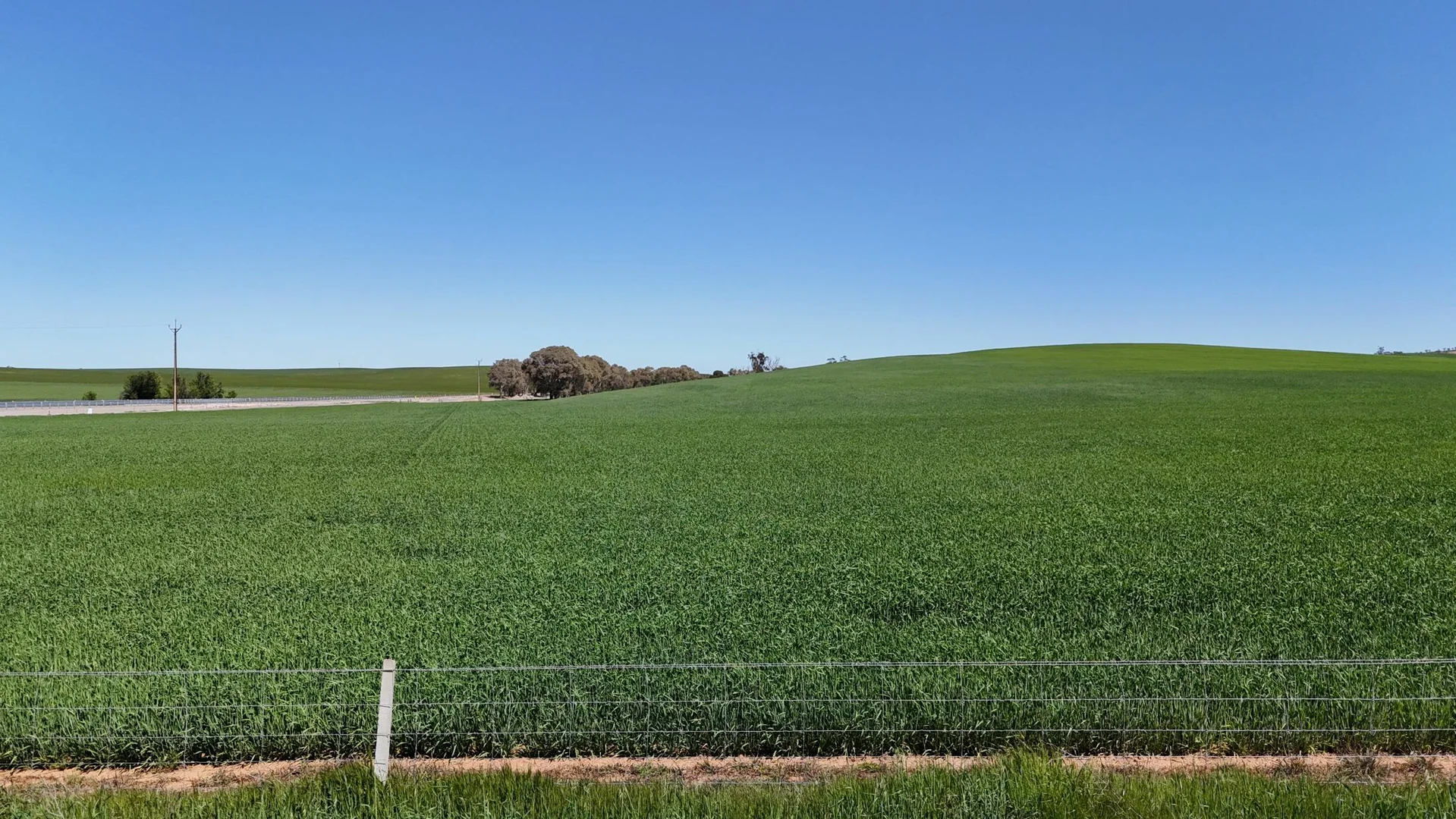 Additional image 4 of 'Ryans' Archie Road, Murray Town SA 5481