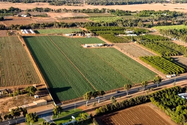 563 & 561 Robinson Street, Carnarvon WA 6701