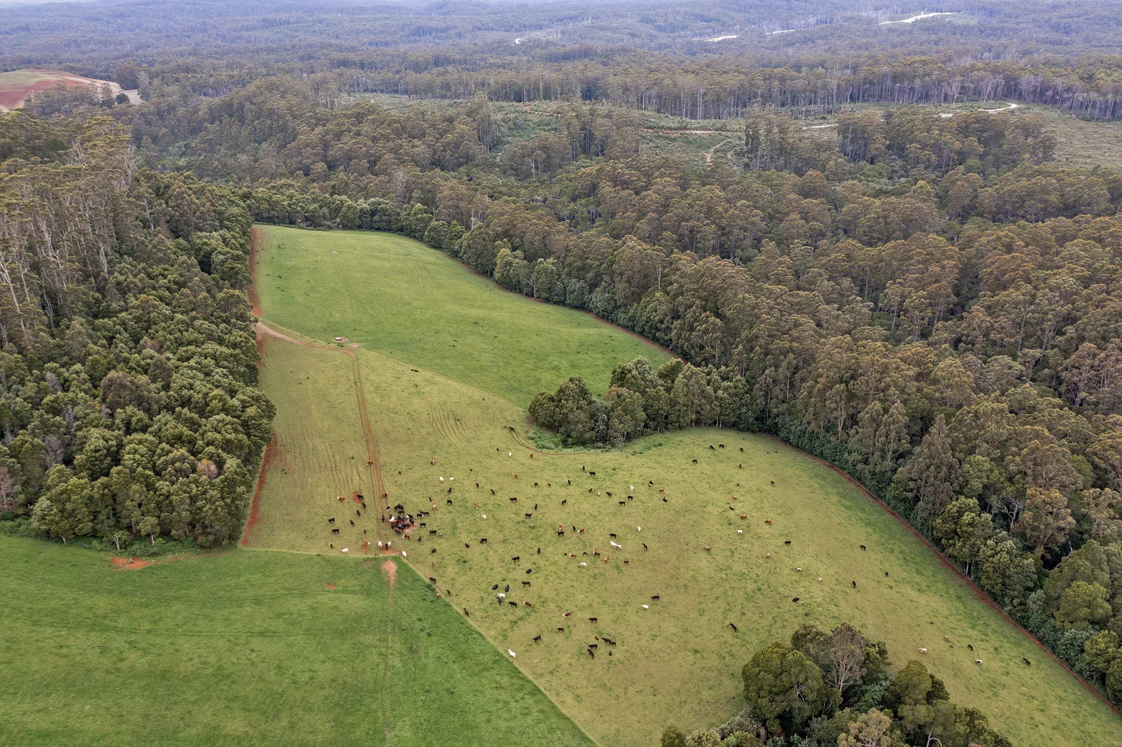 Additional image 17 of 206 Twin Creeks Road, Mengha TAS 7330