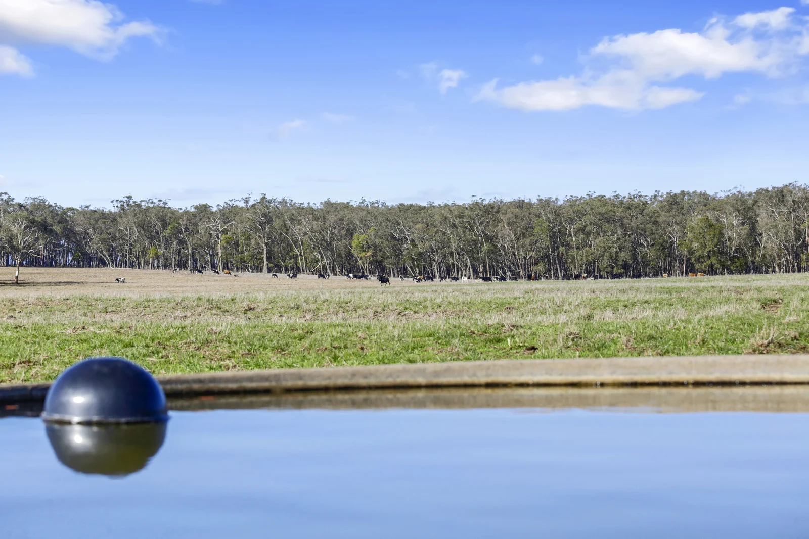 Additional image 26 of 140 Savins Road, Condah VIC 3303