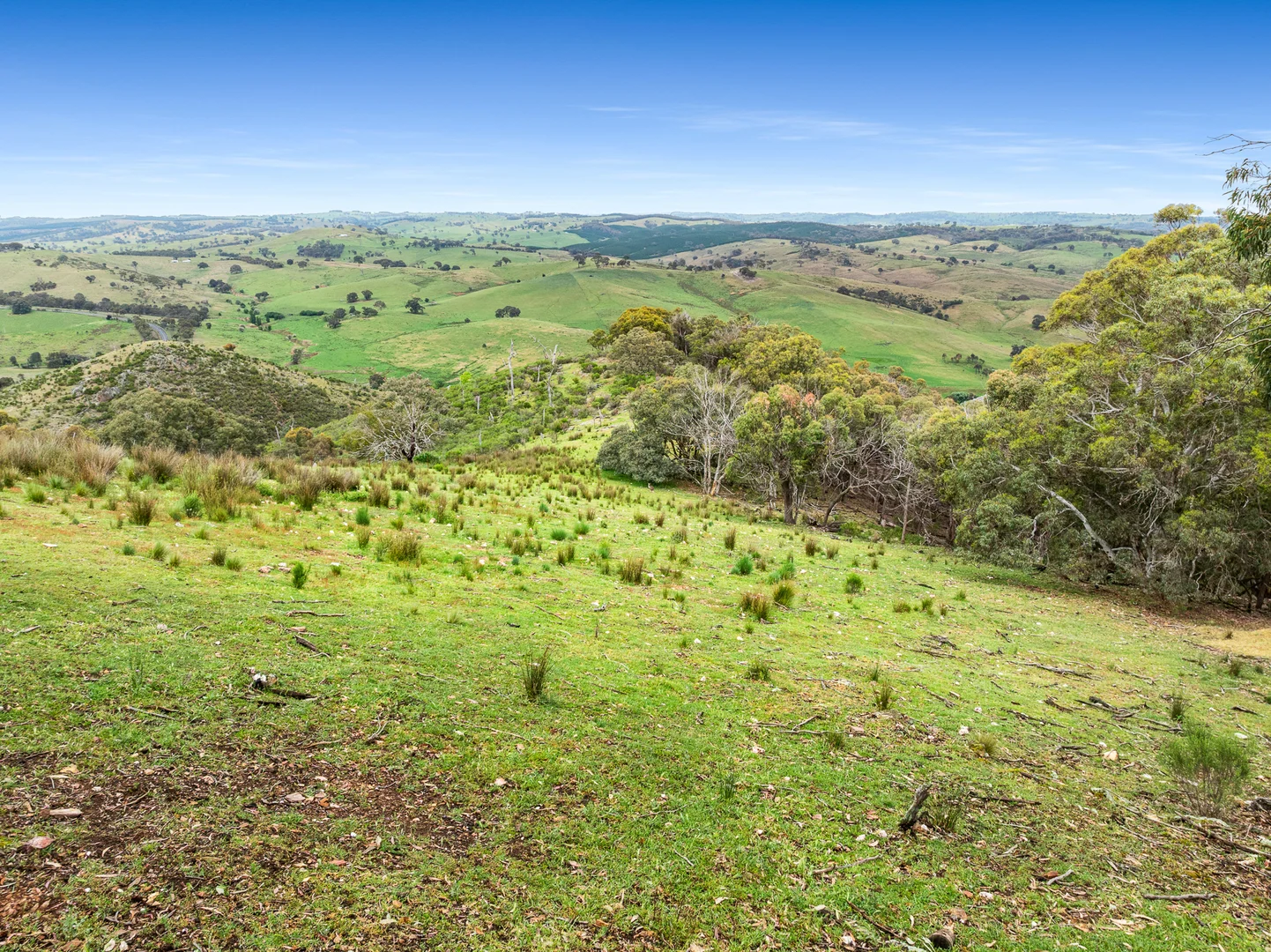 Additional image 21 of 517 White Rocks Road, Lewis Ponds NSW 2800