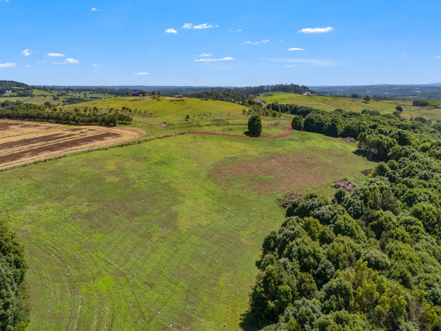 Additional image 23 of 1141 Friday Hut Road, Binna Burra NSW 2479