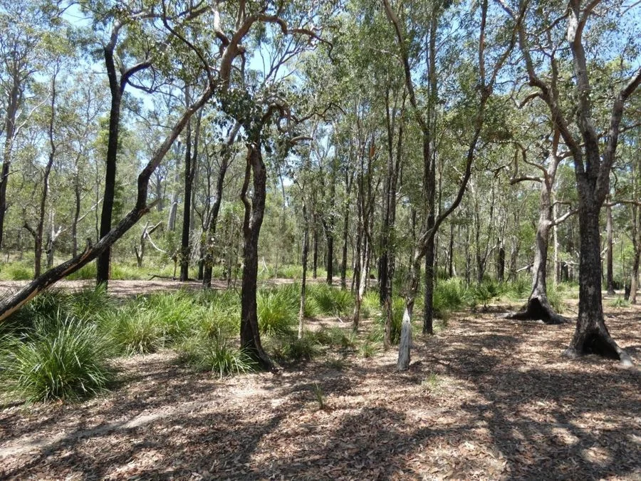 Additional image 34 of 1345 Tableland Road, Mount Maria QLD 4674