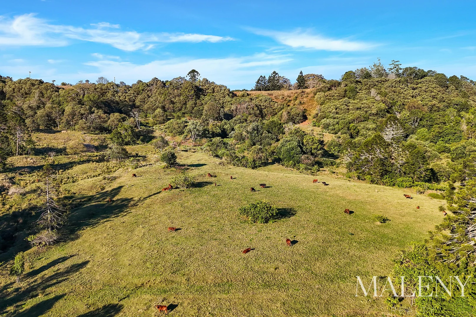 Additional image 5 of LOT 2 Maleny Kenilworth Road, Witta QLD 4552