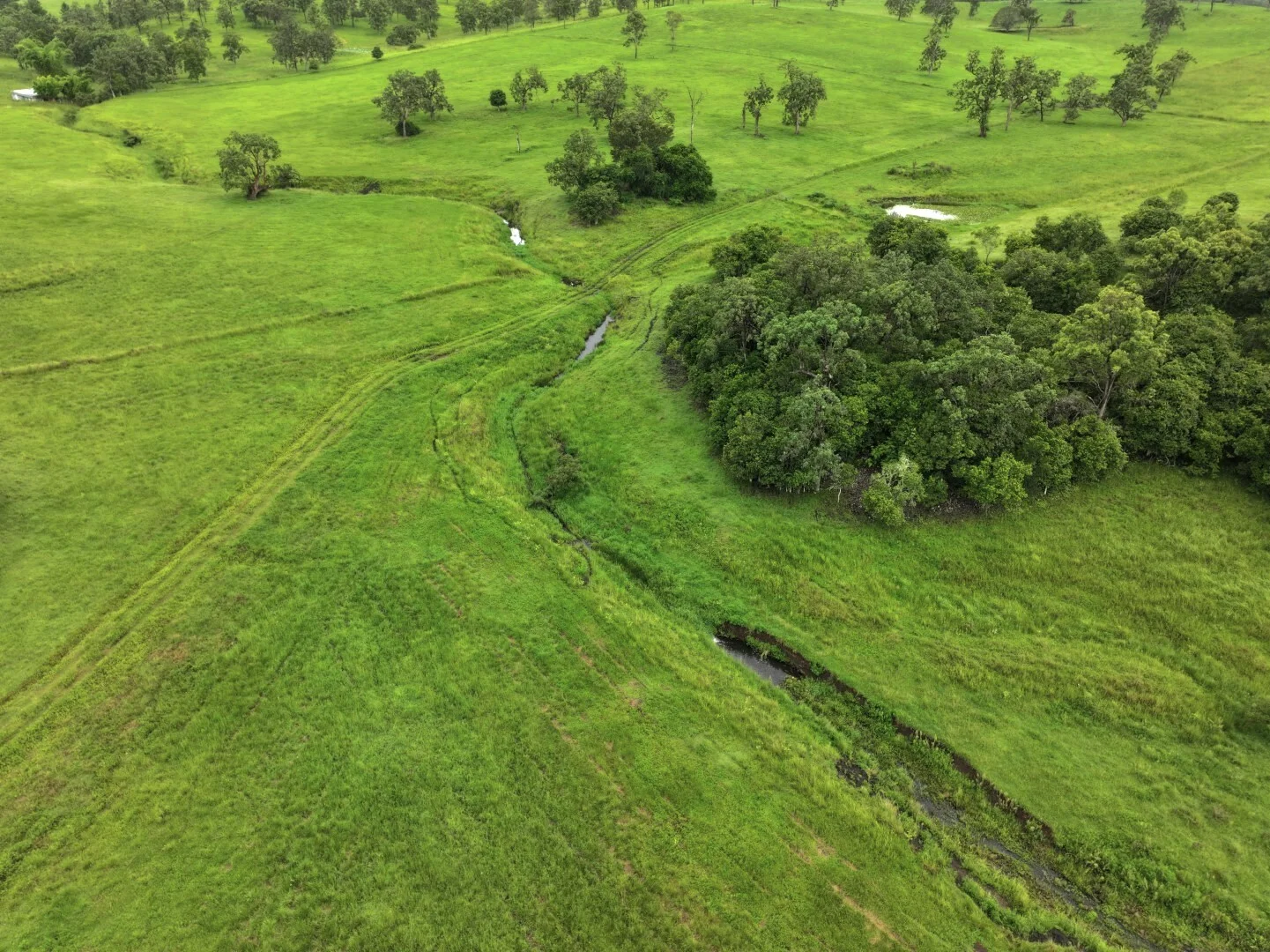 Additional image 14 of 284 Upper Stratheden Road, Kyogle NSW 2474