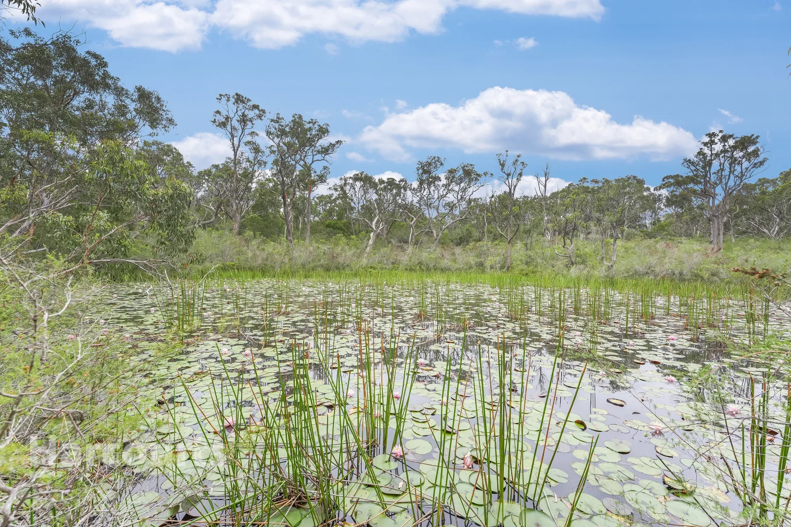 Additional image 22 of 49 Lysaght Road, Wedderburn NSW 2560