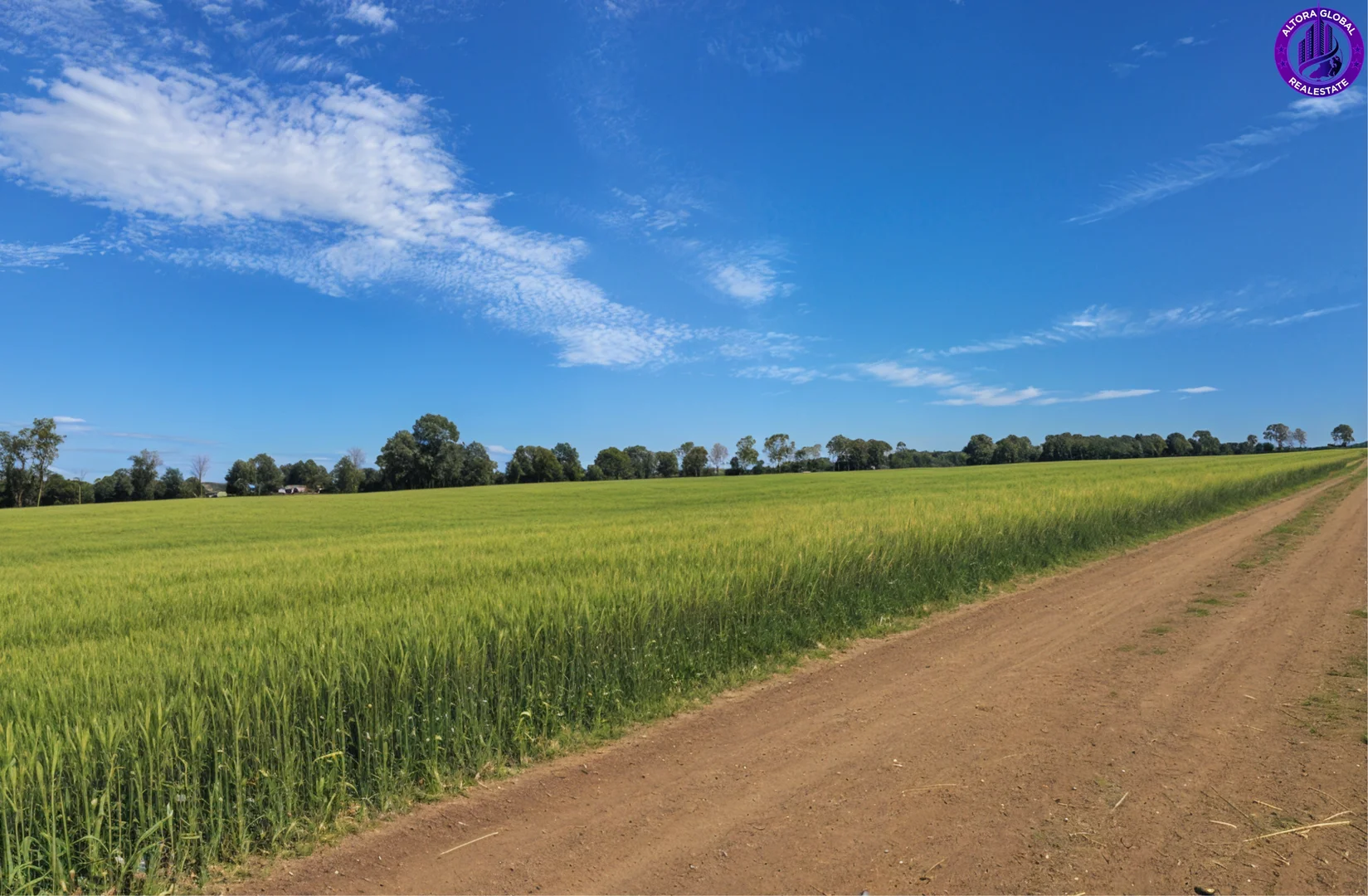 Additional image 5 of 149 Airport Road, Monto QLD 4630