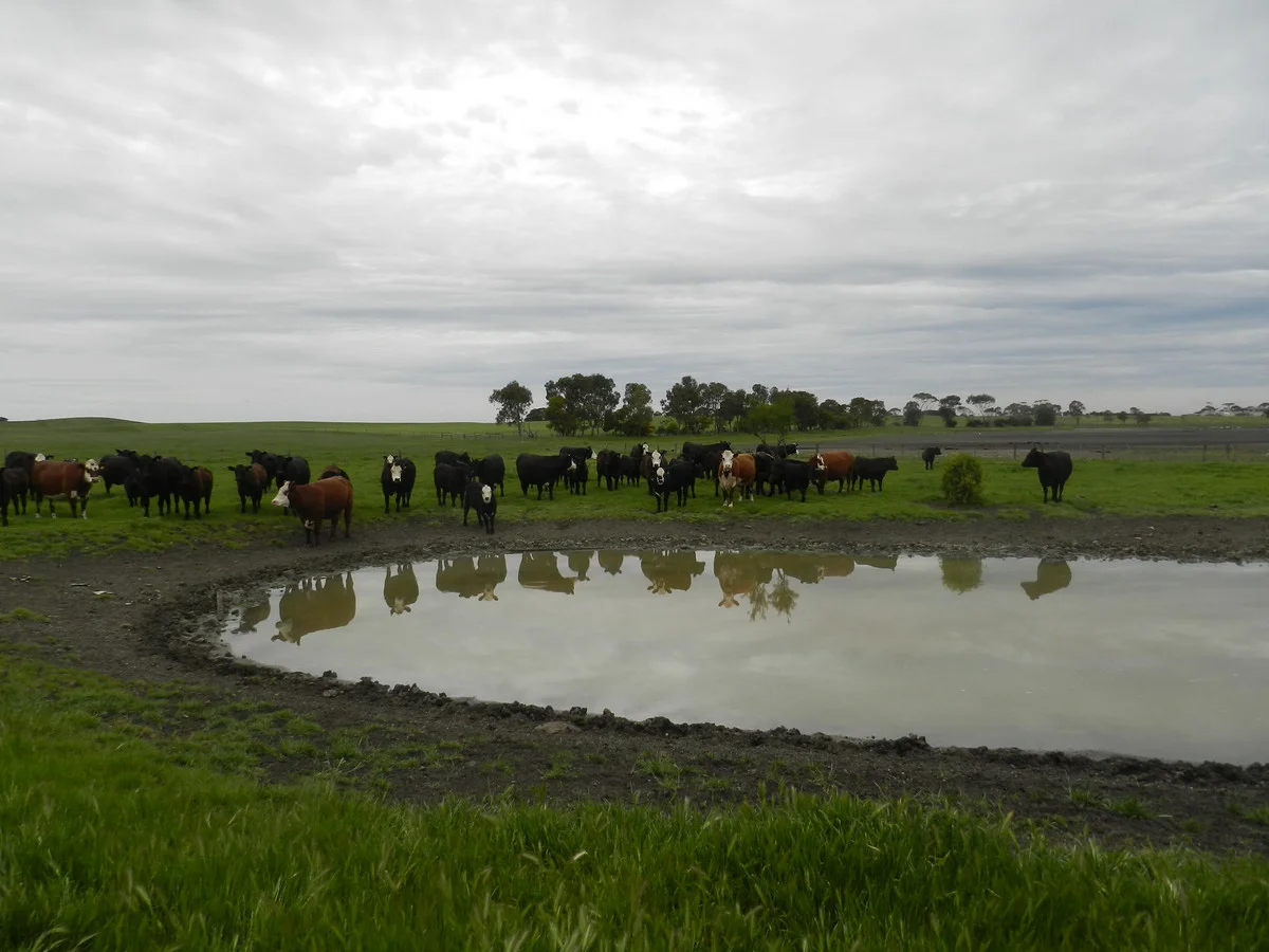 Additional image 12 of 2310 Colac-Ballarat Road, Weering VIC 3251