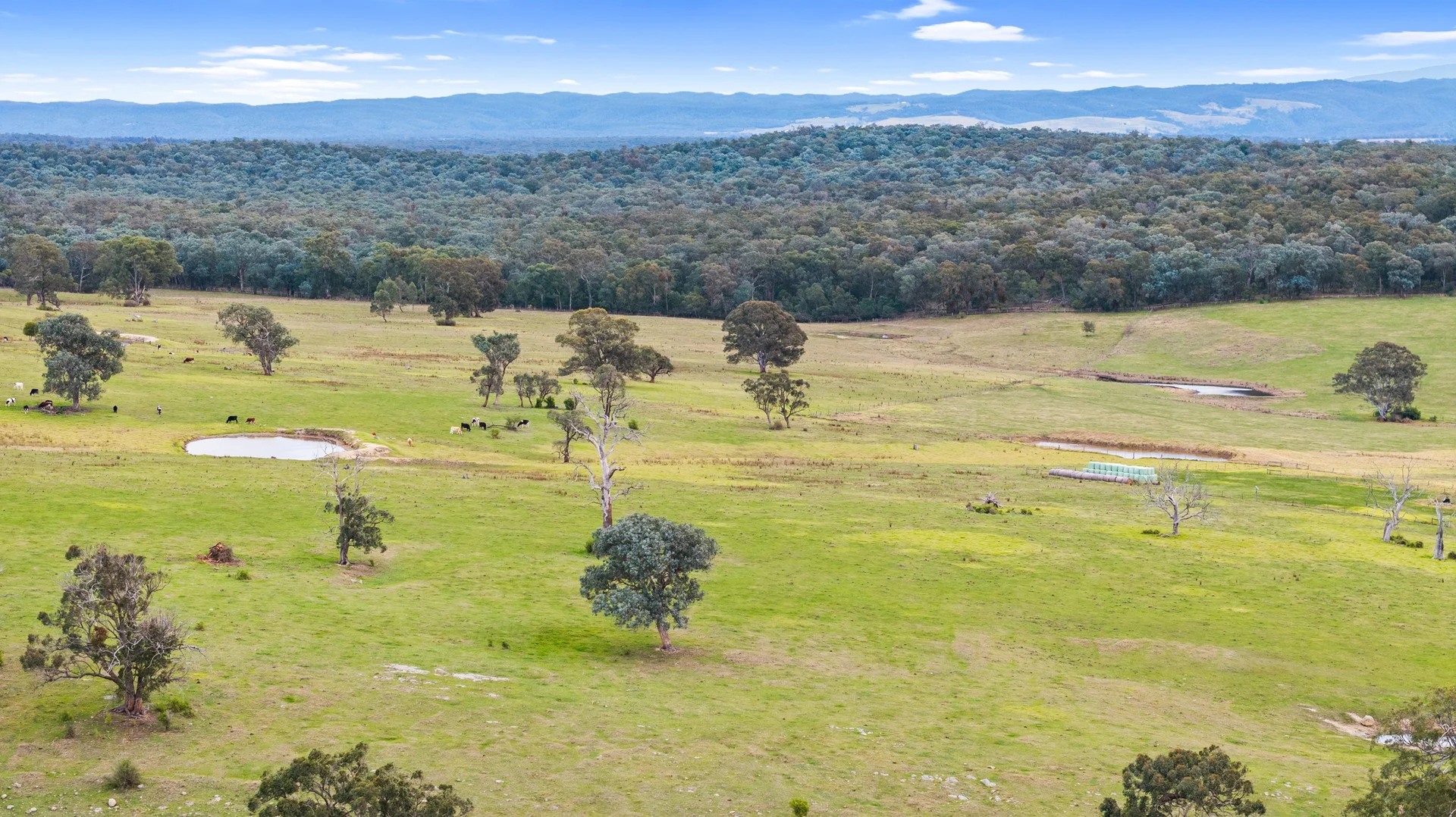 Additional image 7 of 18 Clynes Road, Tinamba West VIC 3859