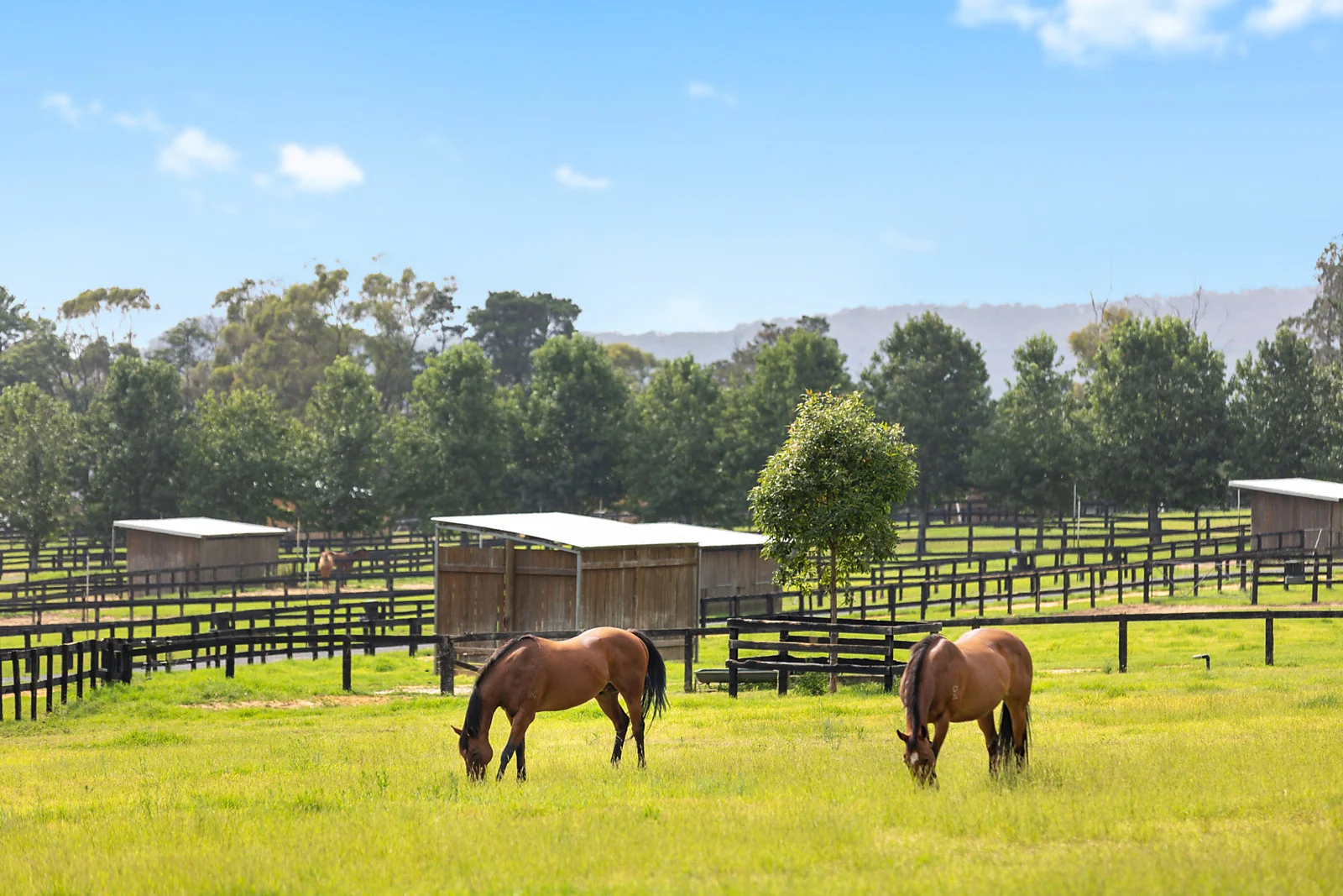 Additional image 33 of 176 Greta Road, Kulnura NSW 2250