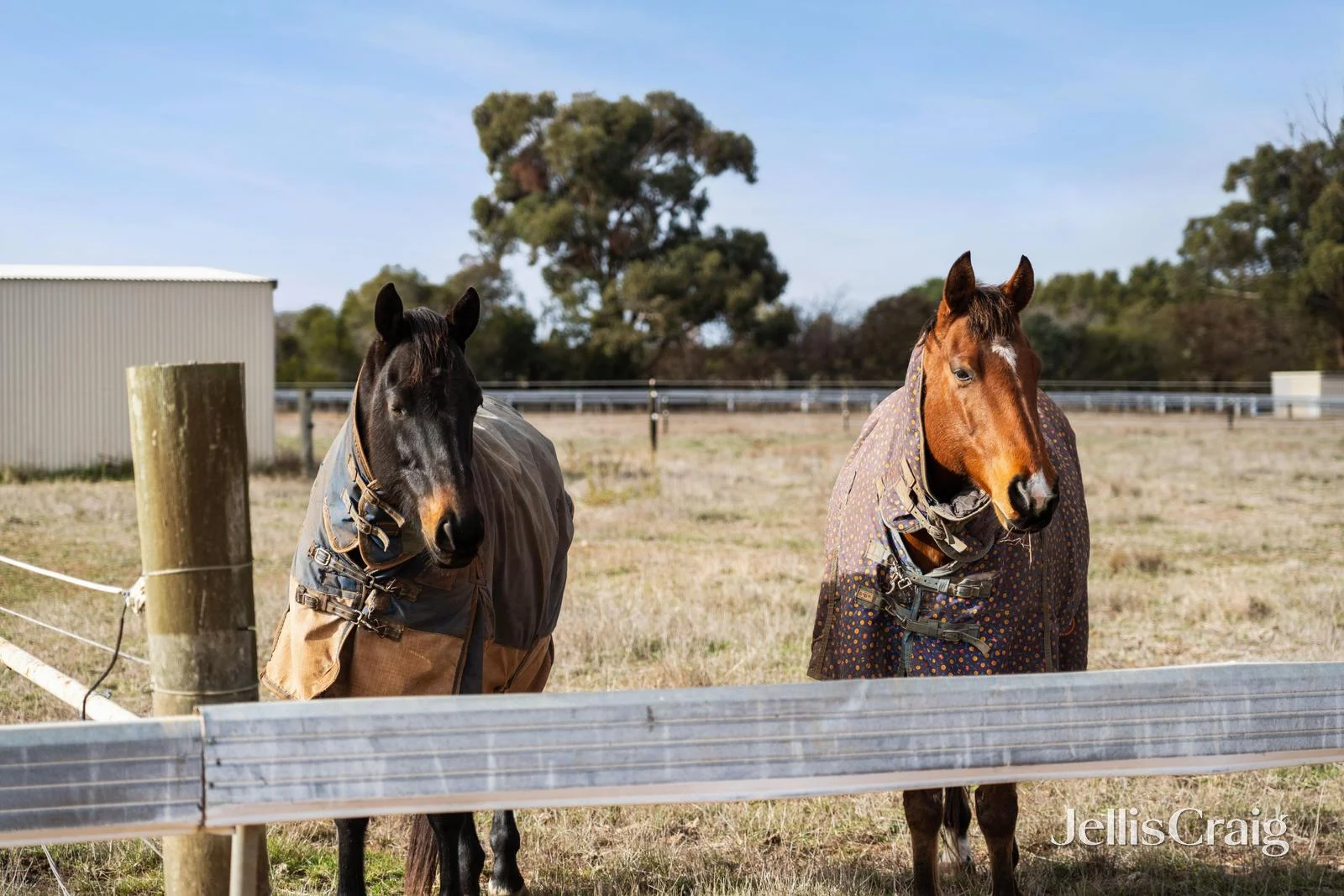 Additional image 15 of Lot 4/203 Sharpes Road, Miners Rest VIC 3352