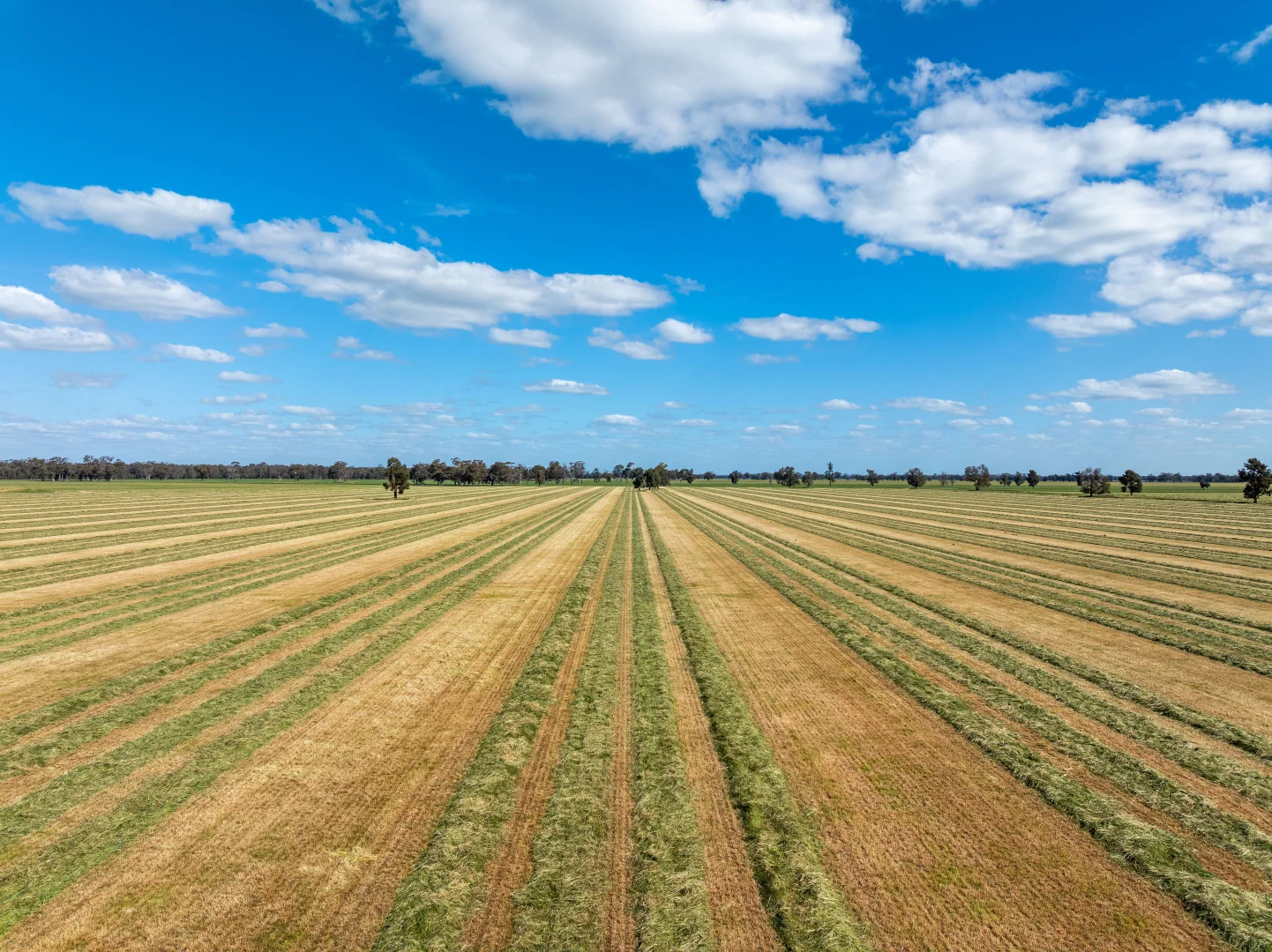 Additional image 13 of 1623 Redlands Road, Ringwood NSW 2646