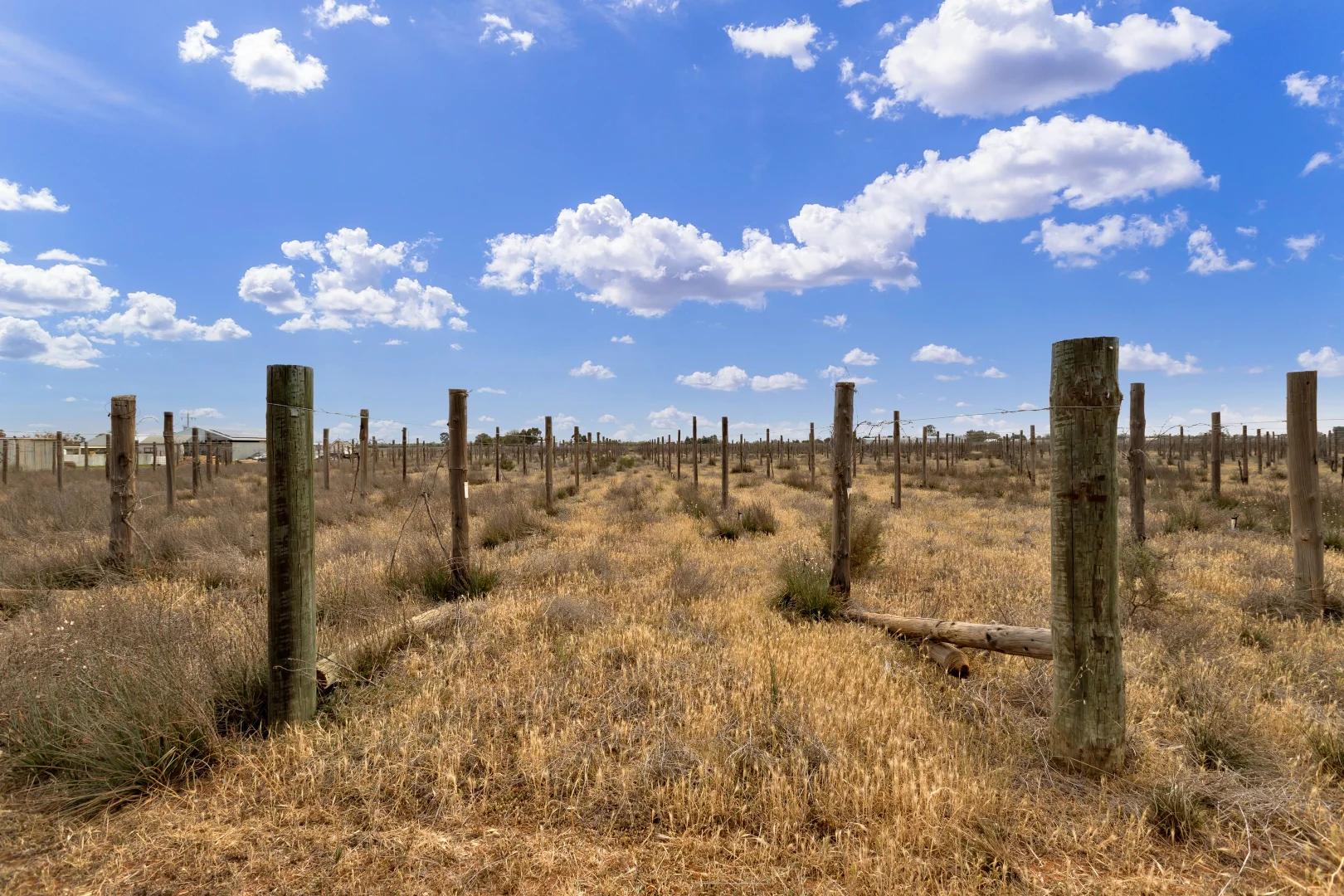 Additional image 4 of 37 Fraser Drive, Merbein VIC 3505