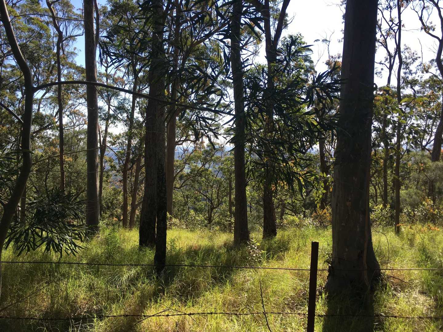 Additional image 7 of Lot 73 Lillipilli Close, Booral NSW 2425