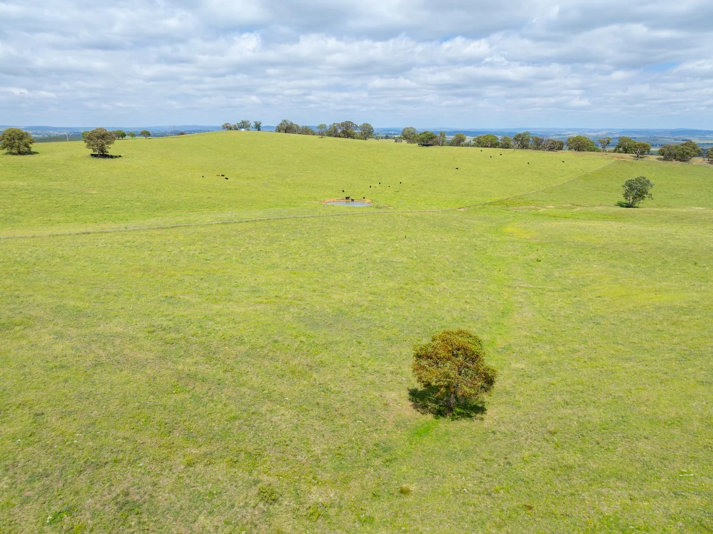 Additional image 37 of 188 Burkes Lane, Brewongle NSW 2795