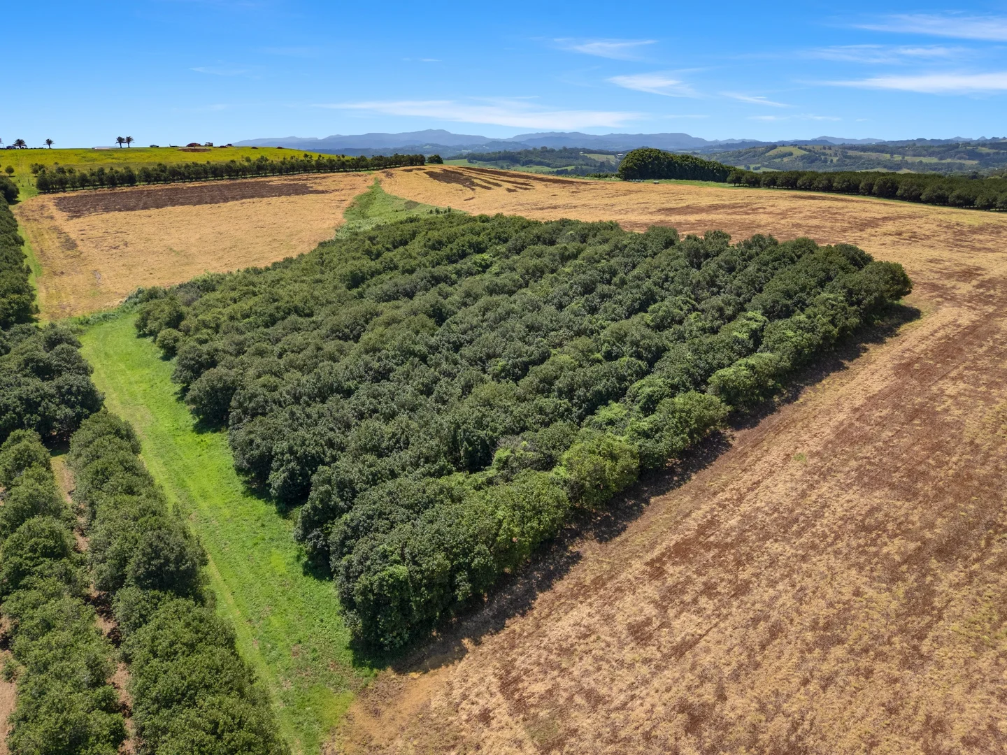 Additional image 13 of 36B Brooklet Road, Newrybar NSW 2479