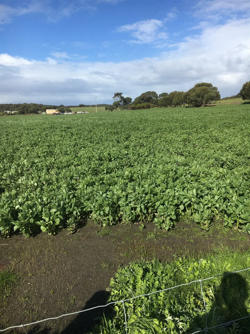 Additional image 18 of 142 Florance Road, Haines SA 5223