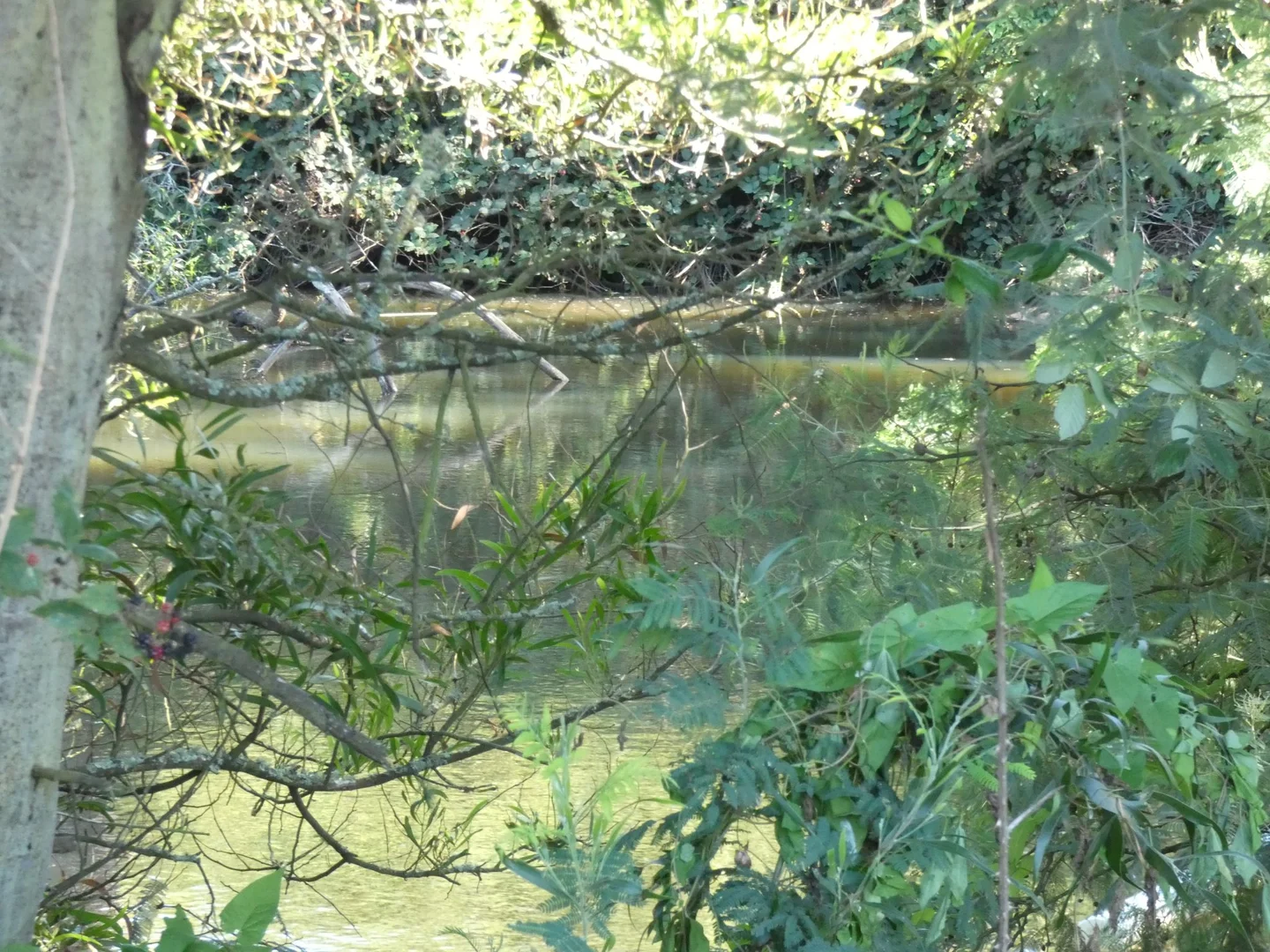 Additional image 12 of Lot 1/95 Macclesfield Road, Monbulk VIC 3793