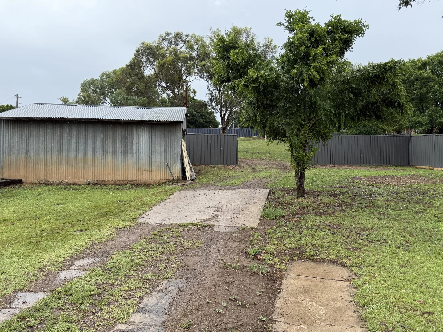 Additional image 20 of 139 Queen Street, Barraba NSW 2347