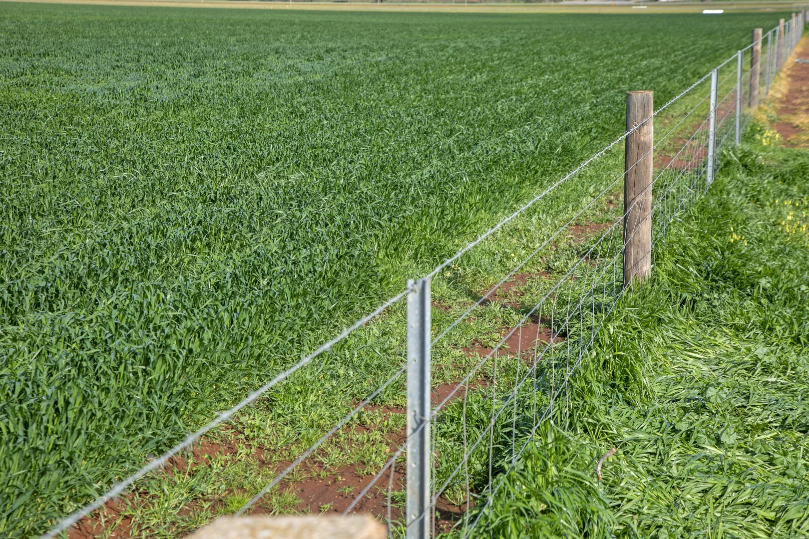 Additional image 12 of 'Hamilton Run Farm' Murchland Drive, Jamestown SA 5491