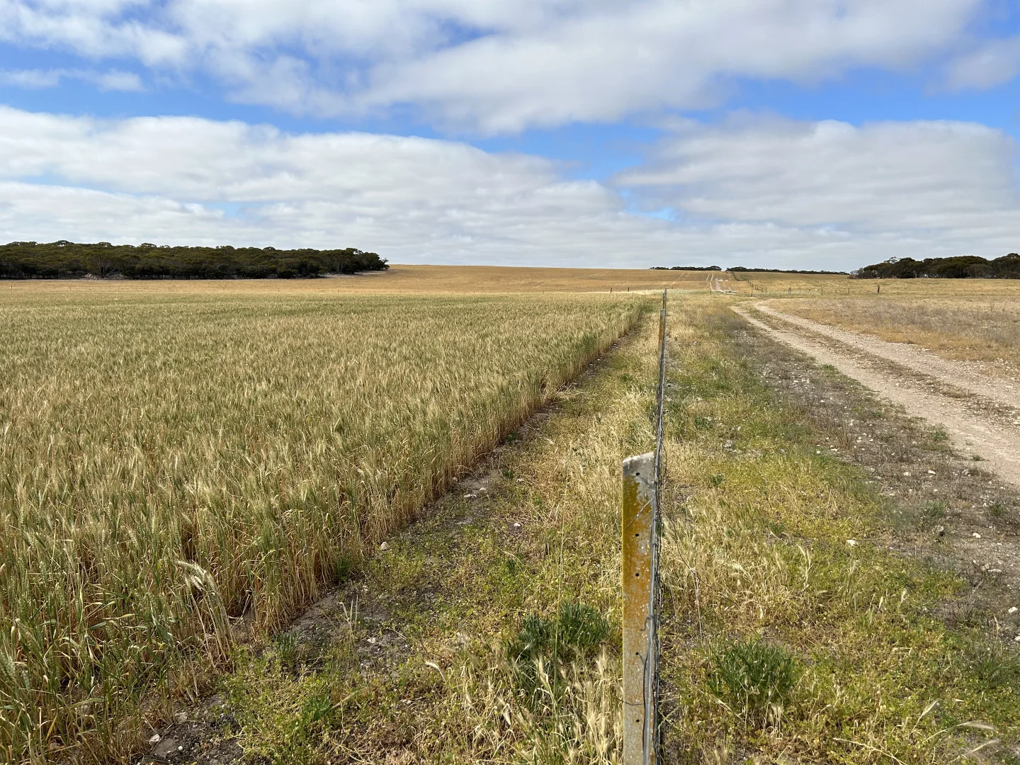 Additional image 20 of 163 McAskill Road, Karkoo SA 5632