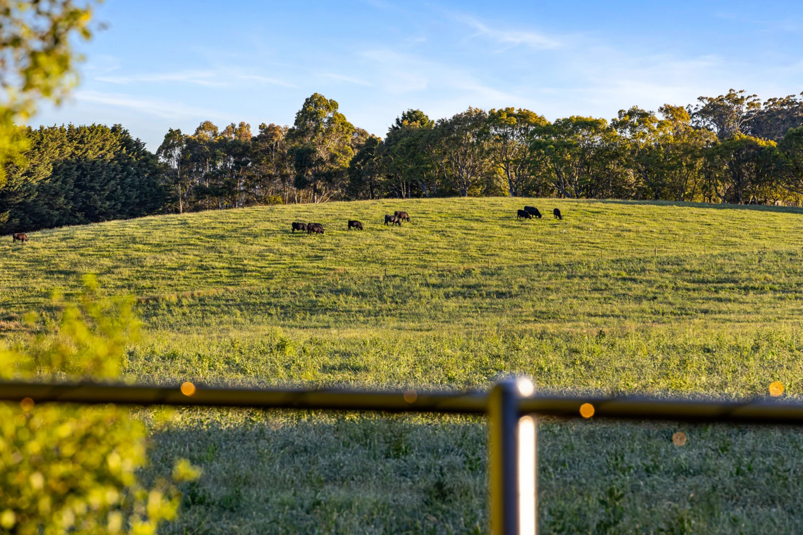 Additional image 24 of 9 Finns Road, Scotsburn VIC 3352