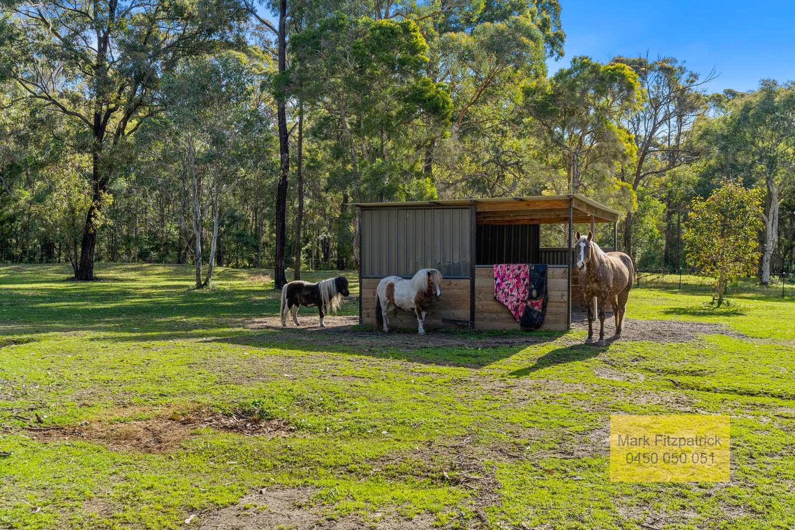 Additional image 14 of 20 Tylers Road, Bargo NSW 2574