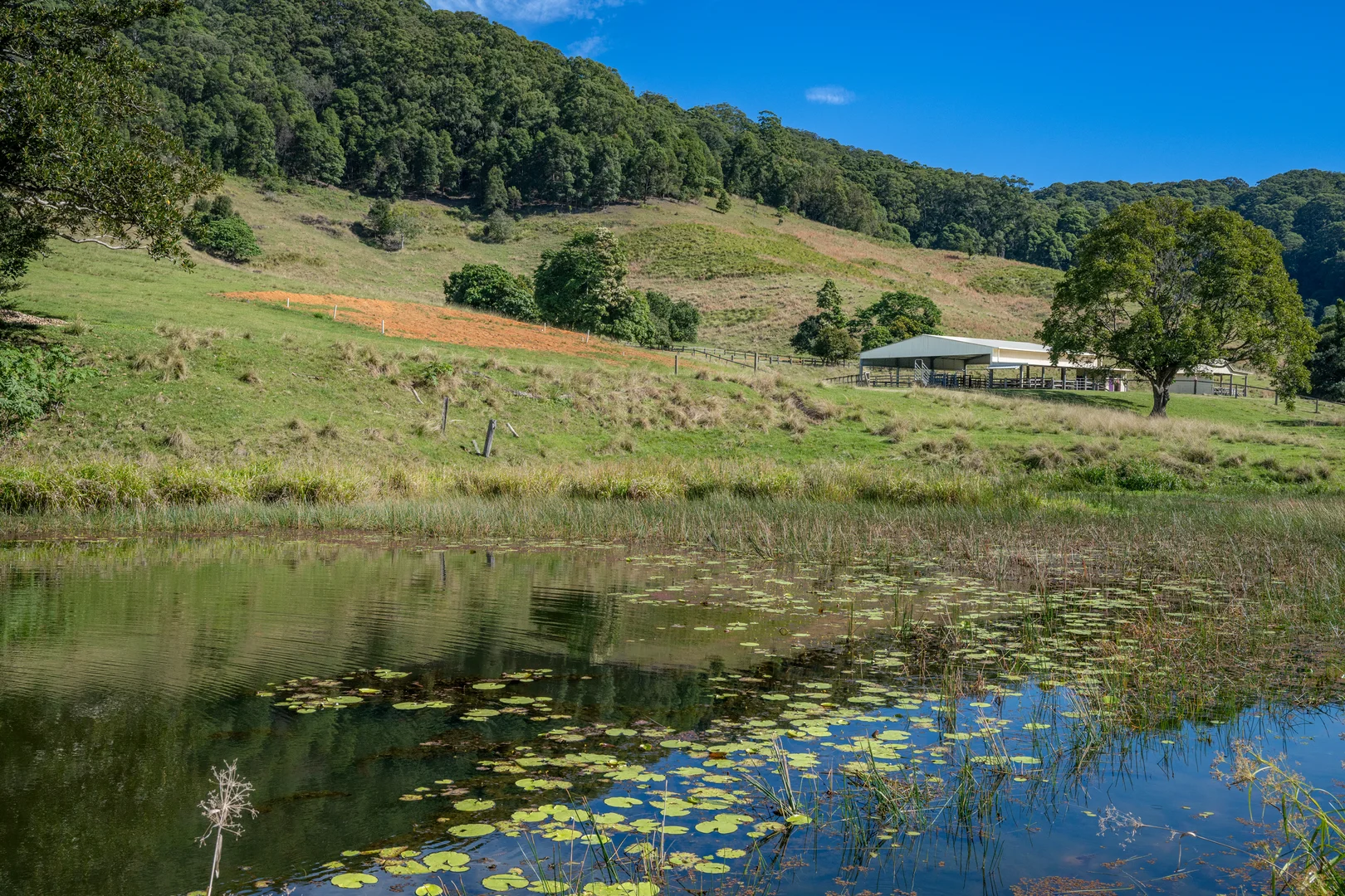 Additional image 40 of Sleepy Hollow NSW 2483