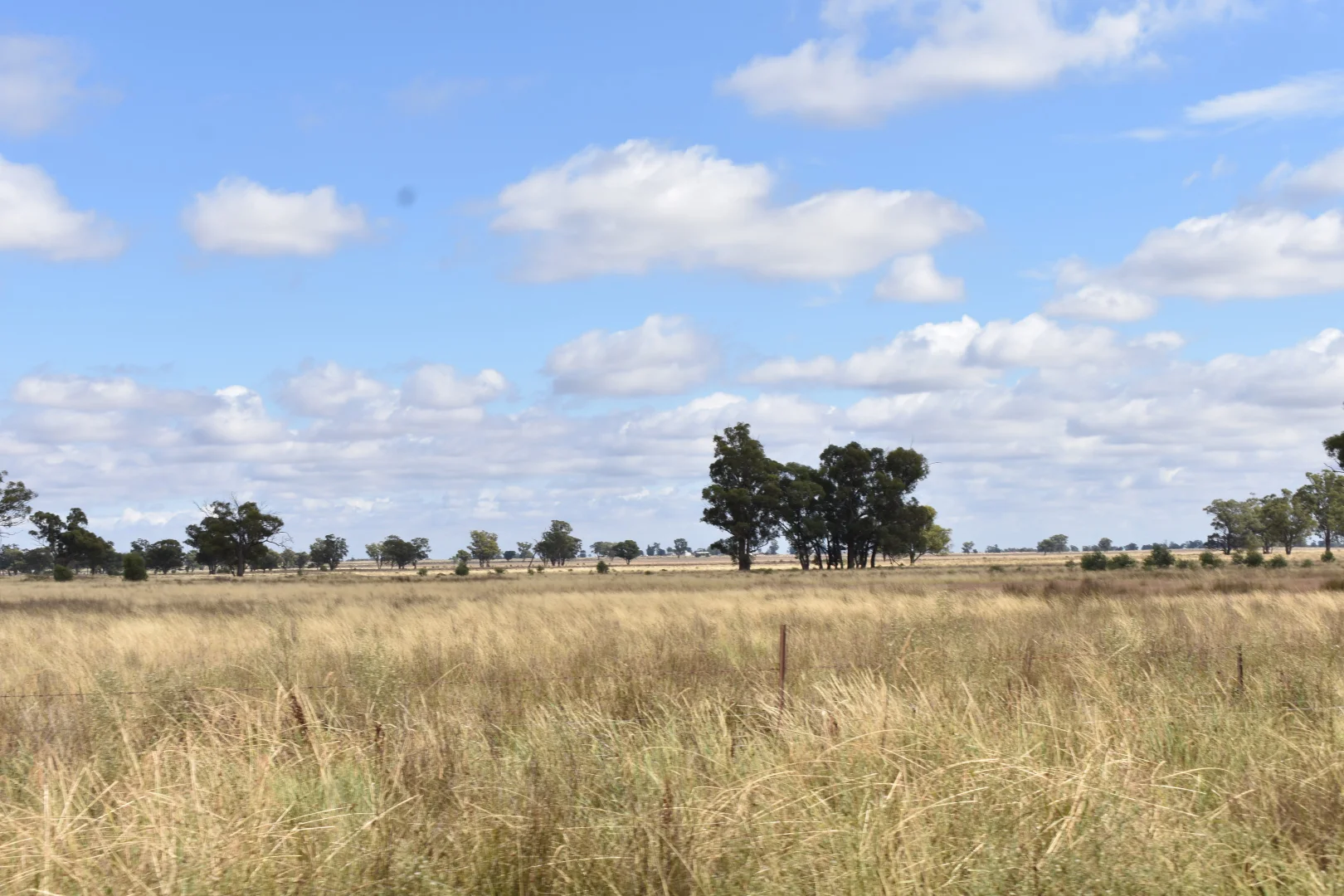 Additional image 50 of 987 Boorr Hill Road, Bruie Plains NSW 2875