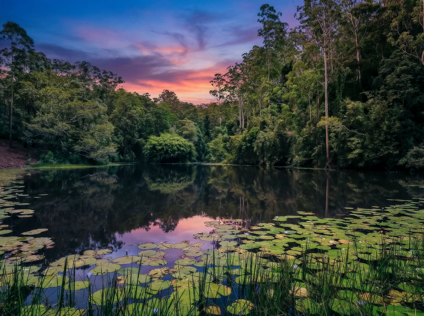 Additional image 20 of 399 Summervilles Road, Bellingen NSW 2454