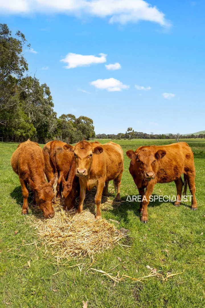 Additional image 25 of 45 Ryeburn Road, Outtrim VIC 3951