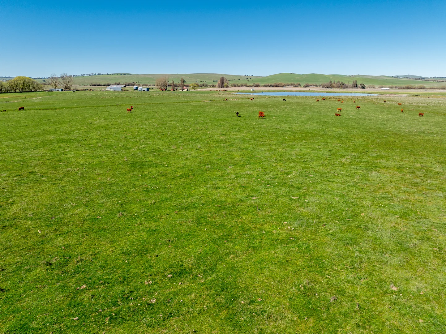 Additional image 24 of 3580 Mid Western Highway, Blayney NSW 2799