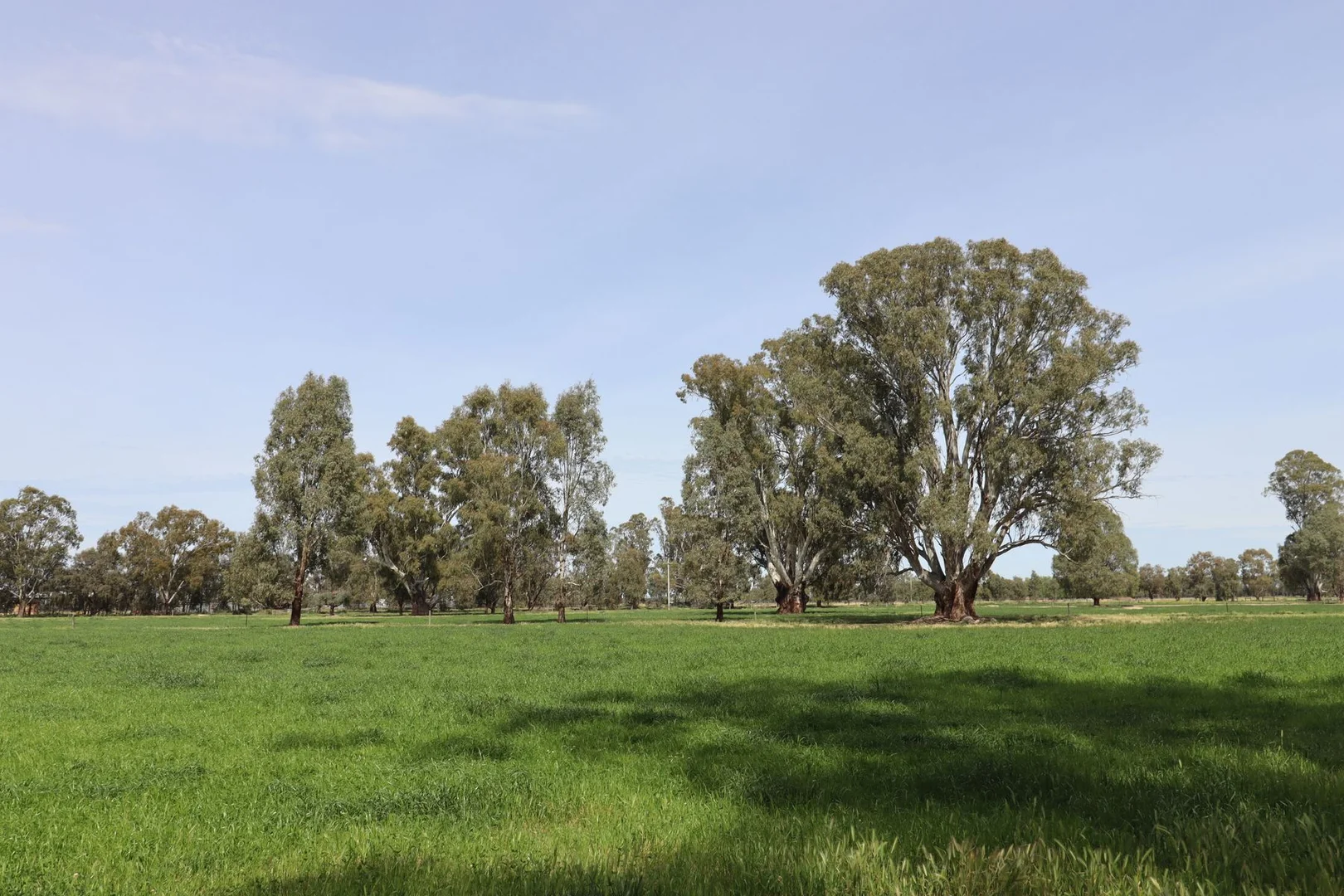 Additional image 30 of 135 Kennedys Road, Cohuna VIC 3568