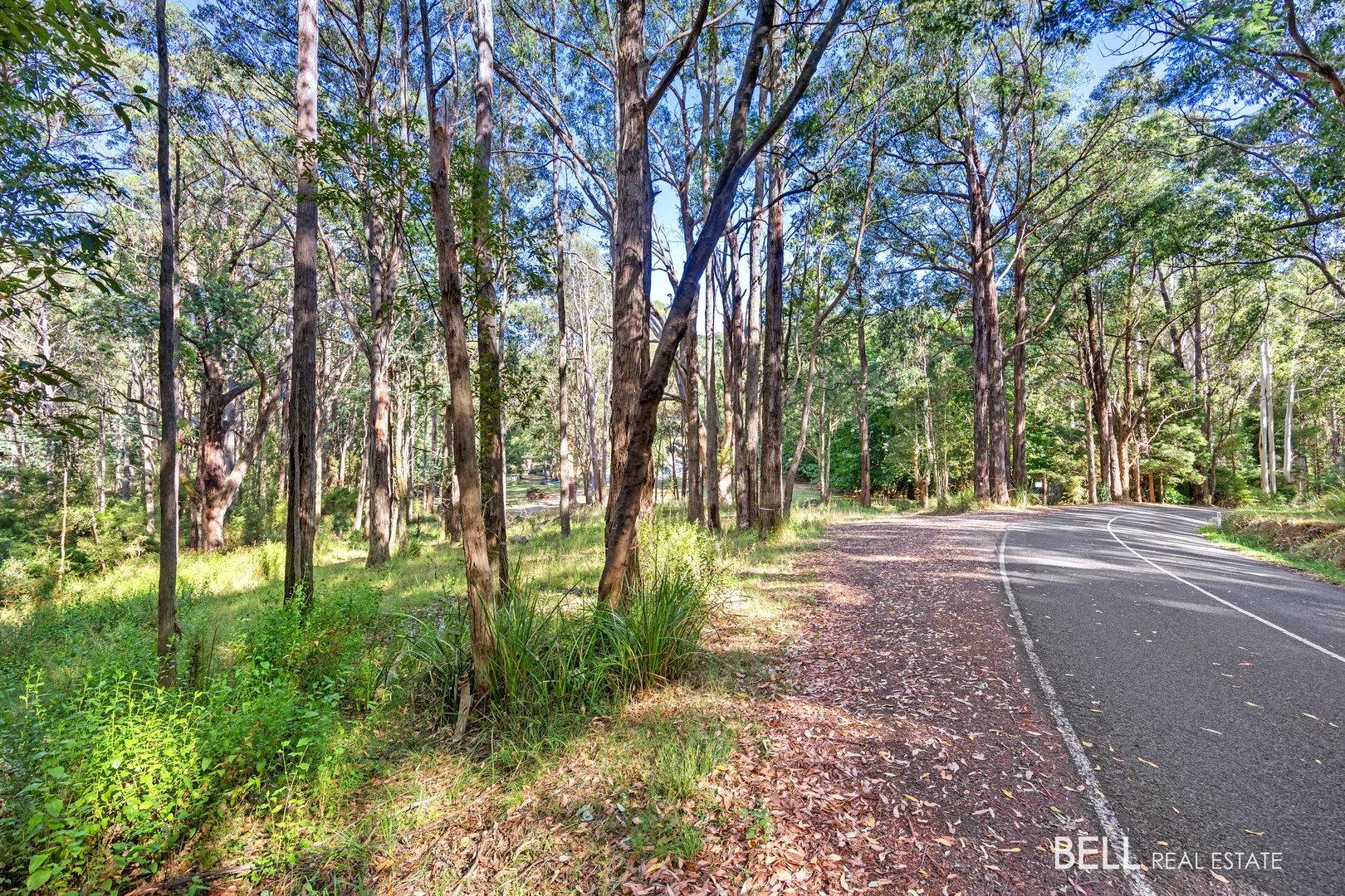 Additional image 6 of 400 Old Warburton Road, Warburton VIC 3799