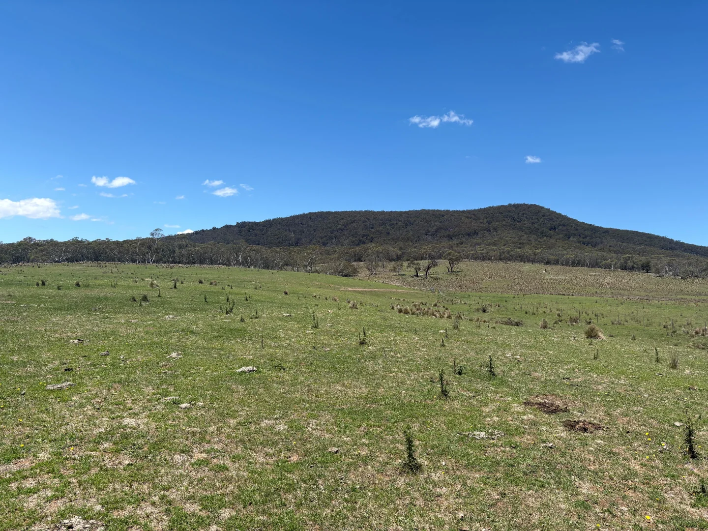Additional image 21 of 130 Jerrabatgulla Road via Braidwood, Braidwood NSW 2622