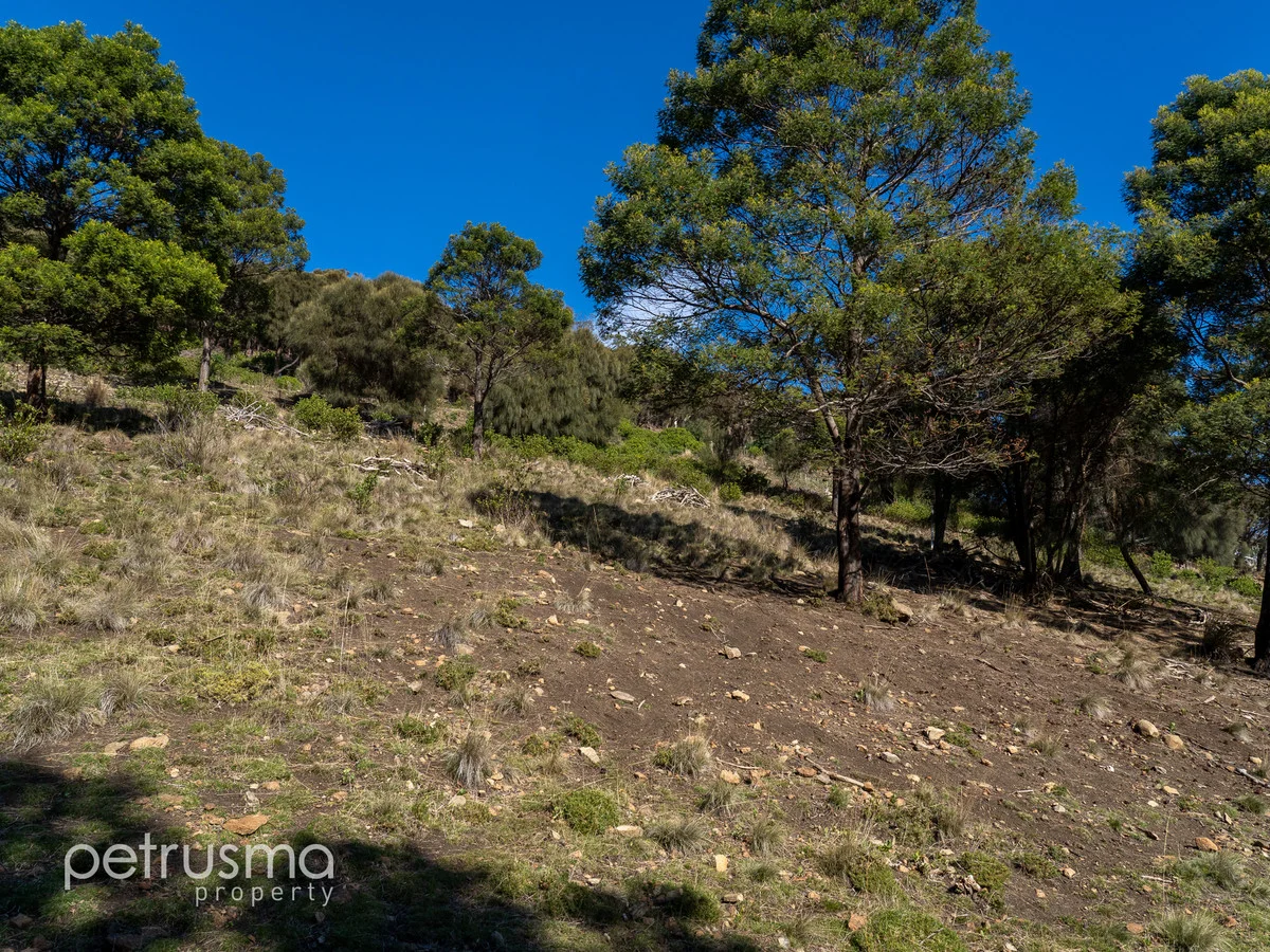 Additional image 20 of 5 Montrivale Rise, Dynnyrne TAS 7005