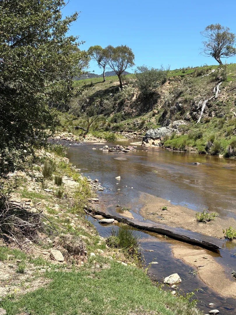 Additional image 7 of 130 Jerrabatgulla Road via Braidwood, Braidwood NSW 2622