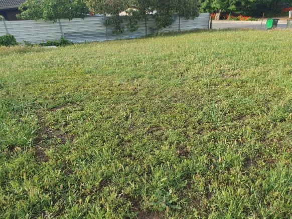 Additional image 4 of 20 Sarah Street, Penrice SA 5353